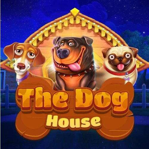 Apuesta en la tragamonedas The Dog House en 1win Casino.